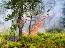 Prescribed burn, Mink Peak, Lolo National Forest