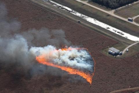 Fire burns through an area of energy sensors in grass near Bastrop, Texas (south of Houston).