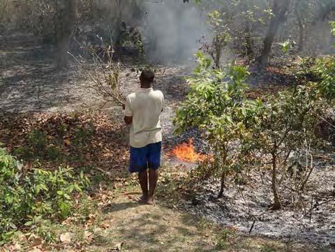 Local CFUG using traditional firefighting methods observed on a wildfire along the East-West Highway on the Rupandehi Forest District on April 16, 2013.