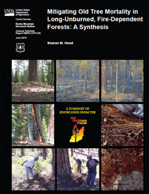 Publication cover for Mitigating Old Tree Mortality in Long-Unburned, Fire-Dependent Forests: A synthesis.