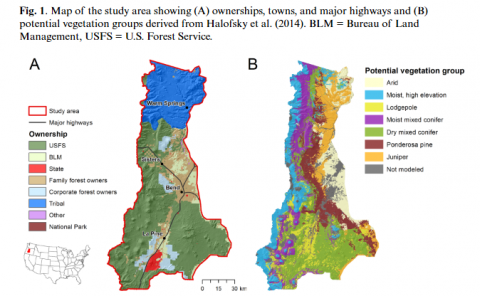 Map of the study area showing (A) ownerships, towns, and major highways and (B)potential vegetation groups
